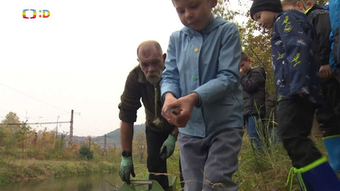 Zprávičky - 22. října 2024