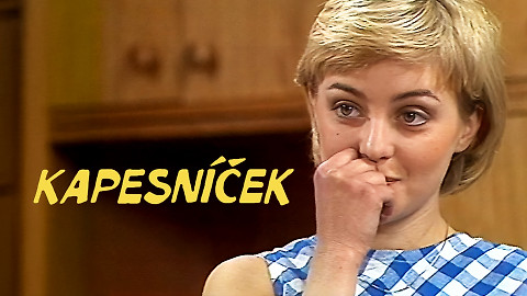 Kapesníček