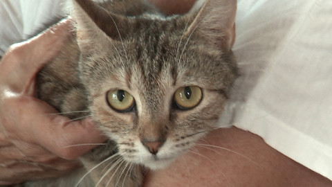 Chcete mě? - Chcete je?