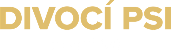 Divocí psi v zemi lvů