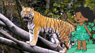 Velká kniha o zvířátkách II