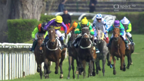 Dostihy - Jarní cena Pardubického závodiště