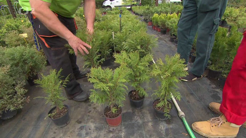 Kvarteto - Má řemeslo zlaté dno?