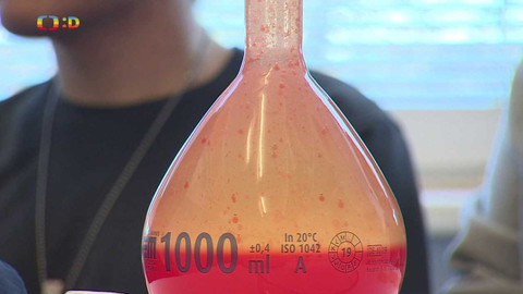 Zprávičky - 8. listopadu 2023