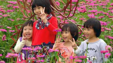 Na cestě - Na cestě po západním Tchaj-wanu