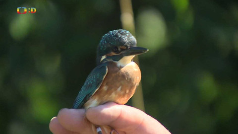 Zprávičky - 31. července 2022