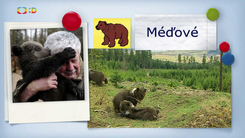 Zprávičky - 21. května 2024