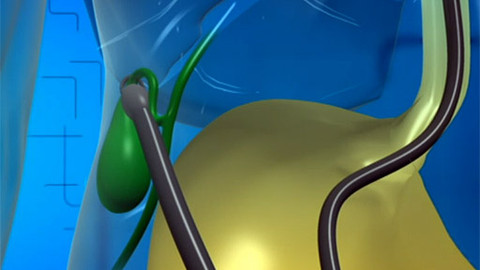 Tep 24 - 27. října 2012