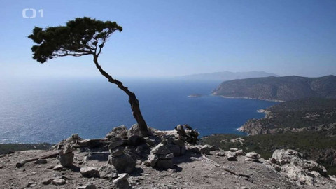 Objektiv - 26. srpna 2018