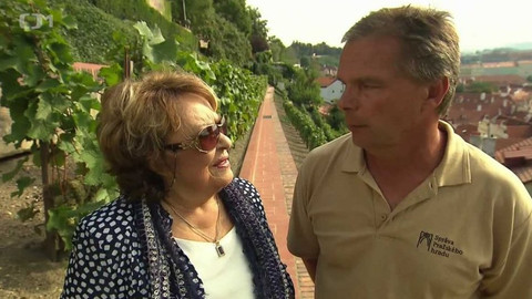 Hobby naší doby - 30. září 2017