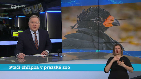 Události v regionech (Praha) - 12. února
