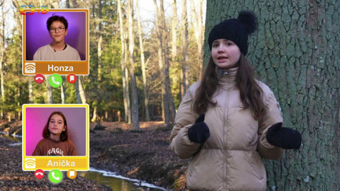 Wifina - 8. března 2024