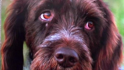 Tisíc let české myslivosti - 15. ledna 2009