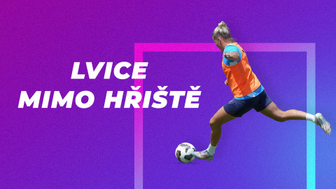 Lvice mimo hřiště