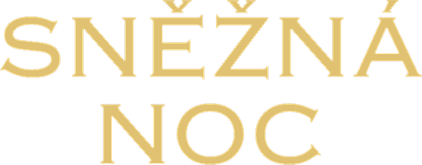 Sněžná noc