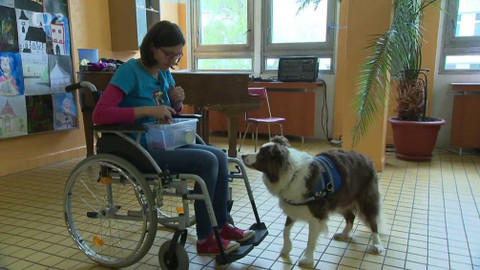 Klíč - 18. listopadu 2015