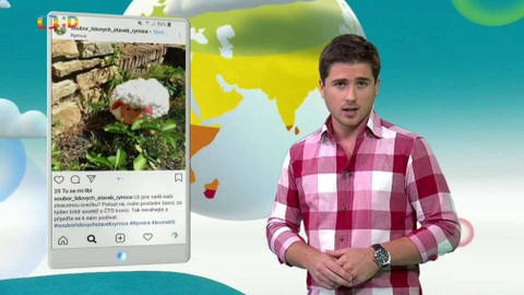 Zprávičky - 25. srpna 2018