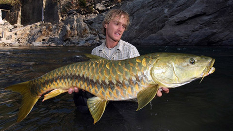 Rybí legendy Jakuba Vágnera - Indie I.