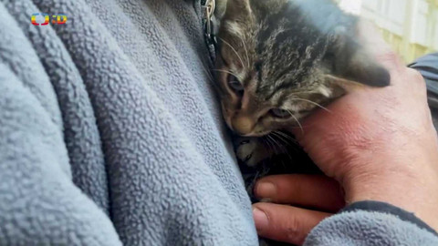 Zprávičky - 16. února 2023