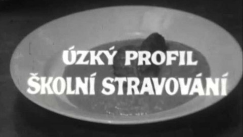 Úzký profil - Školní stravování