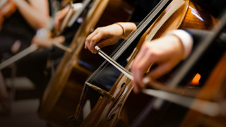 Cena Antonína Dvořáka 2025