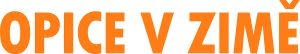 Opice v zimě