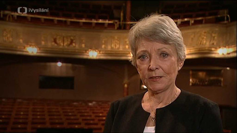 Vinohradský příběh