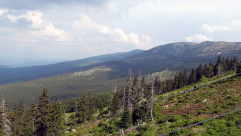 Hranice dokořán - Rozmówki polsko-czeskie - 12. června 2011