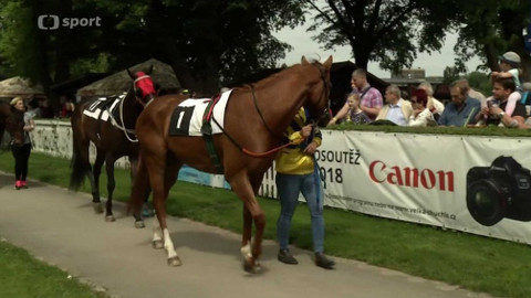 Dostihy - Velká květnová cena