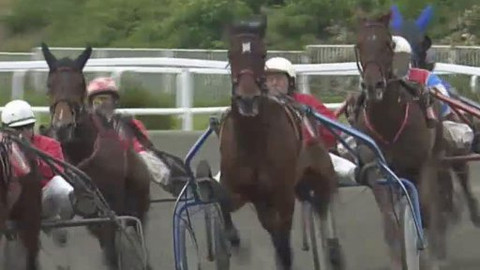 Jezdectví - Velká jarní cena čtyřletých