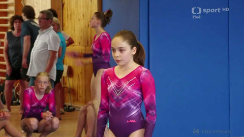 Olympiáda dětí a mládeže - Sportovní gymnastika