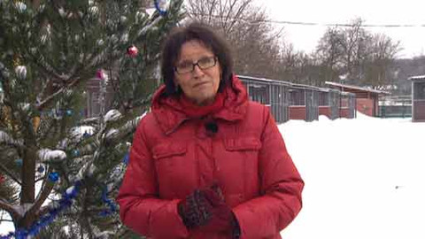 Chcete mě? - 23. prosince 2012