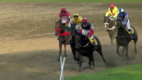 Velká pardubická - historie - 2003