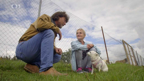 Kočka není pes - Neposlušná Bleška a vybíraví Michálek s Mourinkou
