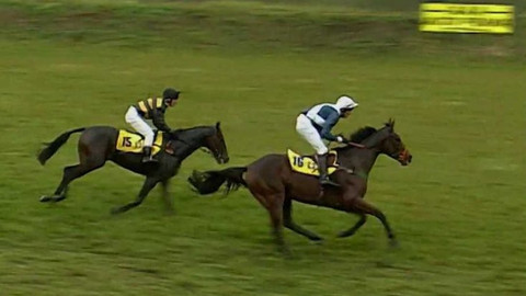 Velká pardubická - historie - 1999