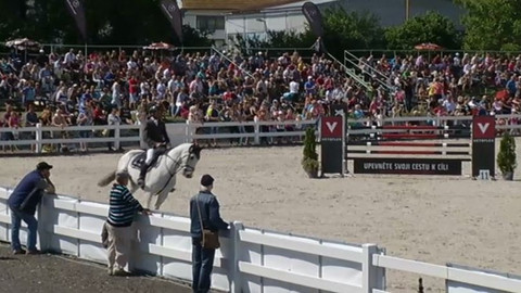 Jezdectví - Velká cena Opavy