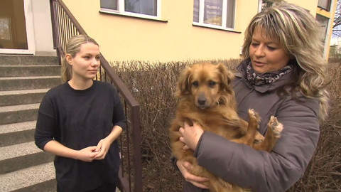 Pološero - Moje zvířecí rodina