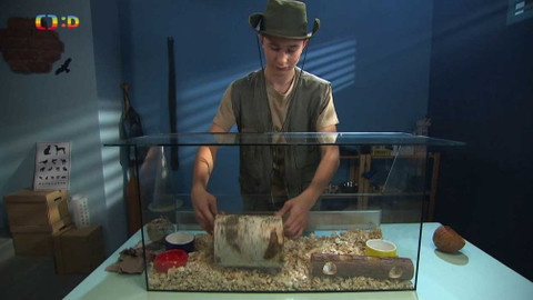 Terčin zvířecí svět - 26. února 2021