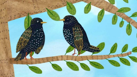 Frnk z hnízda - Epizoda 1/13