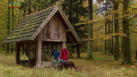S Hubertem do lesa - Zloději kaštanů