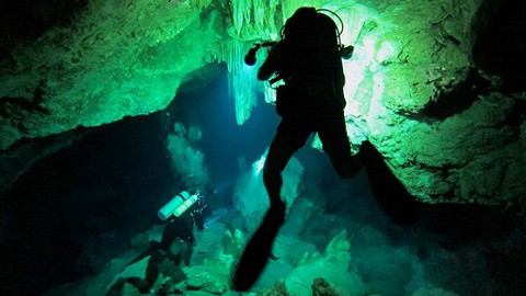 60 zvířecích zabijáků - Epizoda 6/20