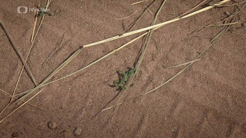 Kapka vody - Program MŽP Dešťovka