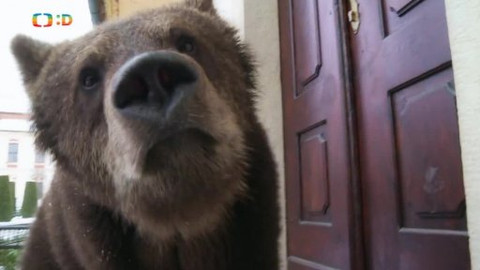 Méďové na cestách - 31/43 Posázaví