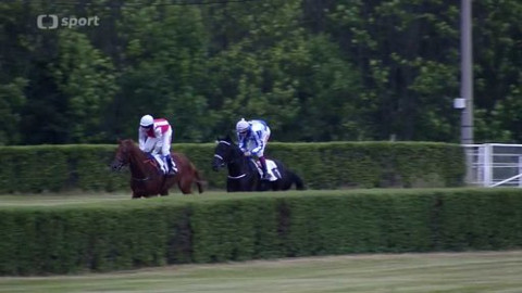 Jezdectví - Oaks 2015