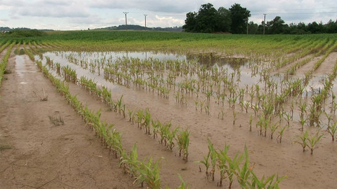 Nedej se! - Eroze: Pole v nenávratnu
