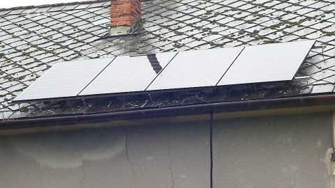 Černé ovce - 18. listopadu 2024