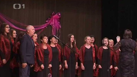 Wiadomości w języku polskim - 6. listopadu 2016