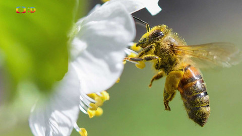 Zprávičky - 31. května