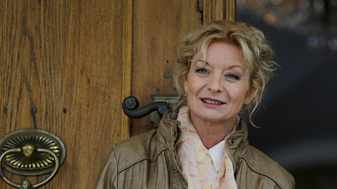 Znamení koně - 1/13 Blue Mystery