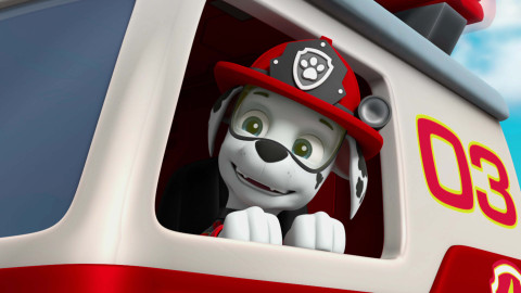 Tlapková patrola - Velká záchrana: Tlapky zastavují tání / Velká záchrana: Tlapky a záhady ztracených mobilů